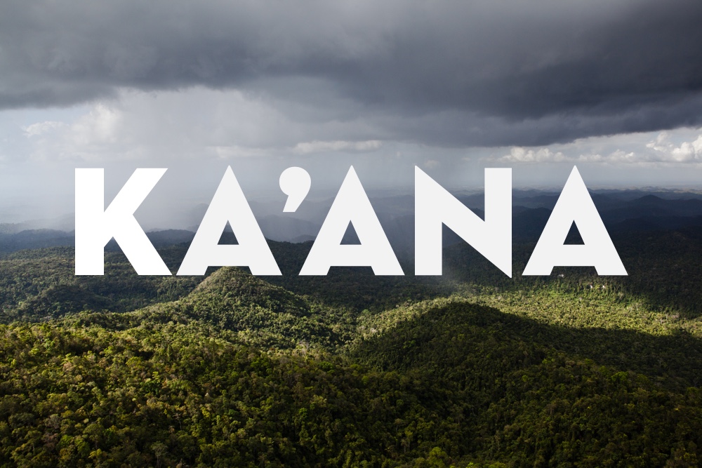 logoPhoto